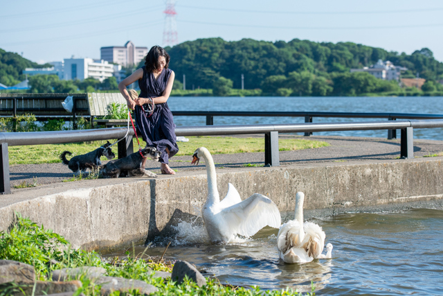 利根川ゆうゆう公園ワンちゃん撮影